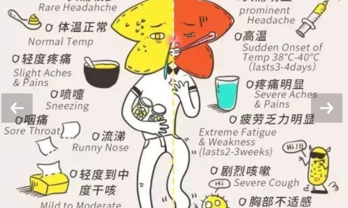 孕妇感冒能吃奥司他韦胶囊吗有影响吗-孕妇感冒能吃奥司他韦胶囊吗网 | 孕妇感冒可以吃奥司他韦吗,孕妇感冒能吃奥司他韦胶囊吗小孩